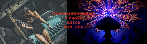 гидропоника Абаза