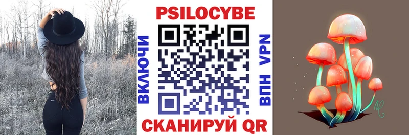 Галлюциногенные грибы мухоморы Енисейск