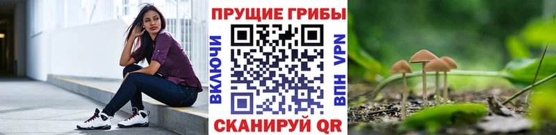 наркотики  Енисейск  Псилоцибиновые грибы прущие грибы 
