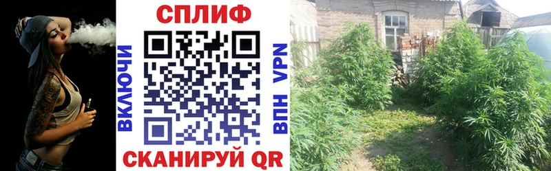 дарк нет официальный сайт Енисейск Бошки марихуана AK-47 купить наркоту ссылка на мегу онион